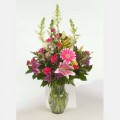Flowering Spring