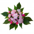 Baby Bunch Pink - Baby Clothing in a Bouquet